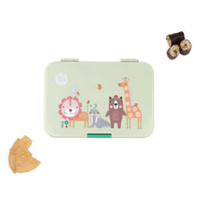 Love Mae - Bento Lunchbox
